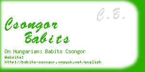 csongor babits business card